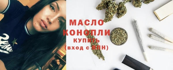 дживик Богородицк