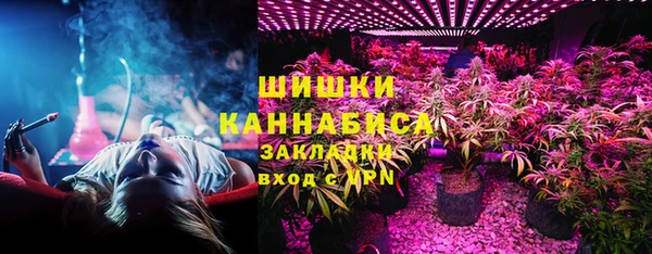 трава Бородино