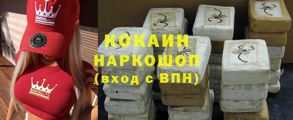дживик Богородицк