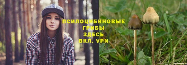 дживик Богородицк