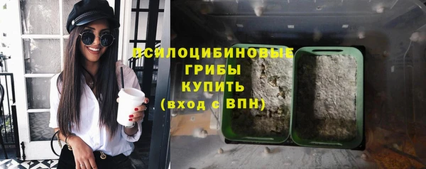 mdpv Богородск